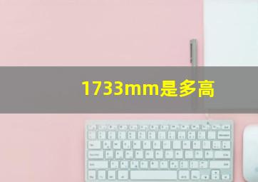 1733mm是多高