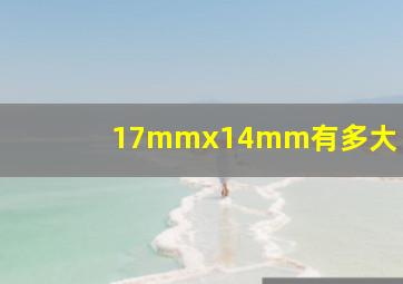 17mmx14mm有多大