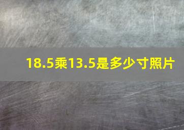 18.5乘13.5是多少寸照片