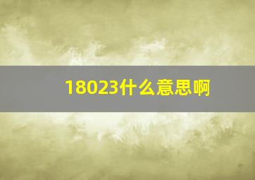 18023什么意思啊