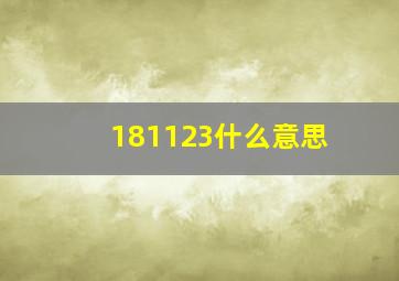 181123什么意思