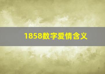 1858数字爱情含义