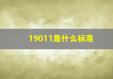 19011是什么标准