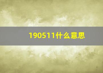 190511什么意思