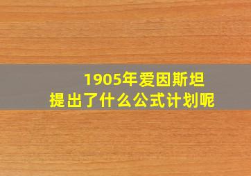 1905年爱因斯坦提出了什么公式计划呢