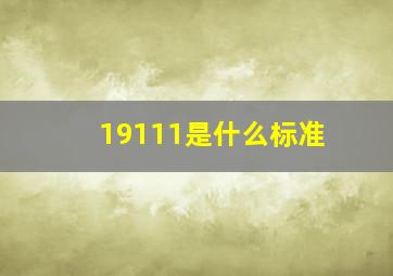 19111是什么标准