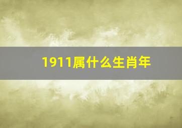 1911属什么生肖年