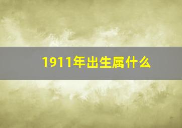 1911年出生属什么