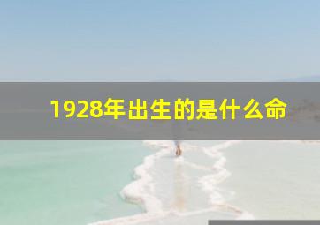 1928年出生的是什么命