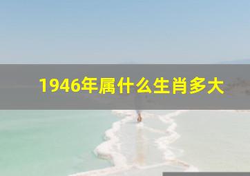 1946年属什么生肖多大