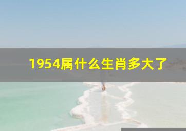 1954属什么生肖多大了