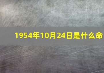 1954年10月24日是什么命