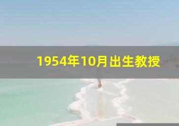 1954年10月出生教授