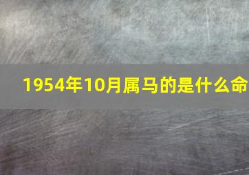 1954年10月属马的是什么命