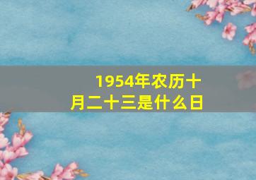 1954年农历十月二十三是什么日