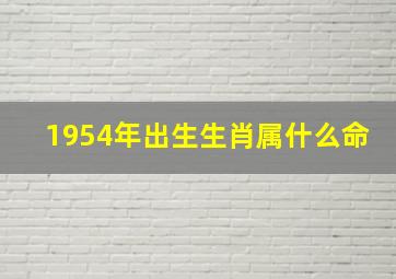 1954年出生生肖属什么命