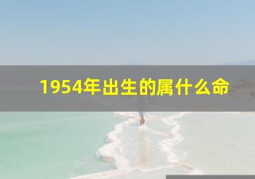 1954年出生的属什么命