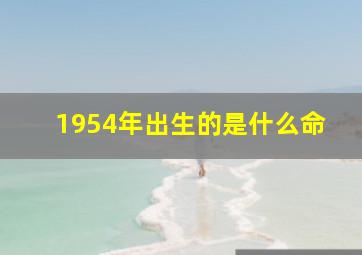 1954年出生的是什么命