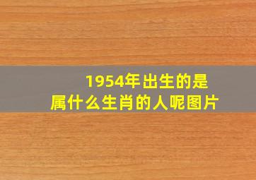 1954年出生的是属什么生肖的人呢图片