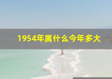 1954年属什么今年多大