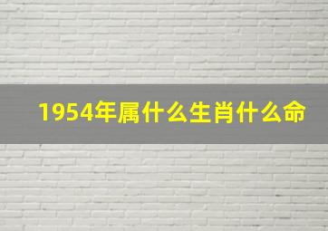 1954年属什么生肖什么命