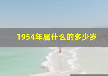 1954年属什么的多少岁