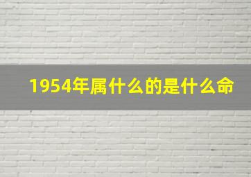 1954年属什么的是什么命