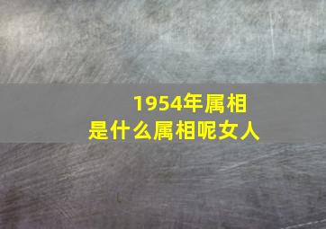 1954年属相是什么属相呢女人