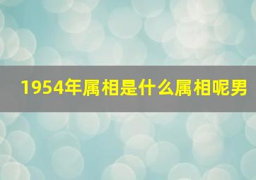 1954年属相是什么属相呢男