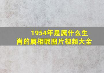 1954年是属什么生肖的属相呢图片视频大全