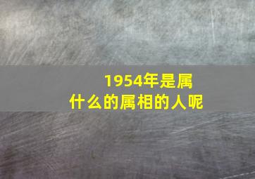 1954年是属什么的属相的人呢