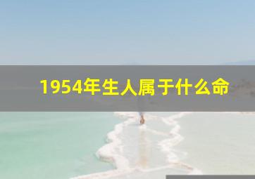 1954年生人属于什么命