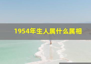 1954年生人属什么属相