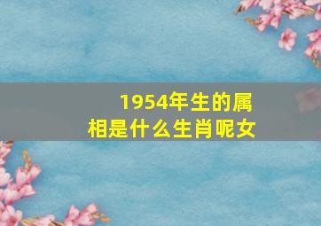 1954年生的属相是什么生肖呢女