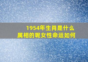 1954年生肖是什么属相的呢女性命运如何