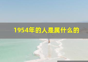 1954年的人是属什么的