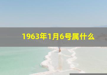 1963年1月6号属什么