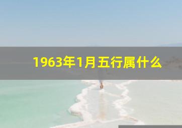 1963年1月五行属什么