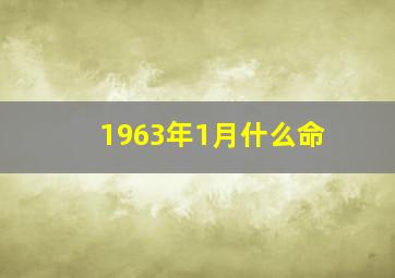 1963年1月什么命