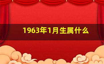 1963年1月生属什么