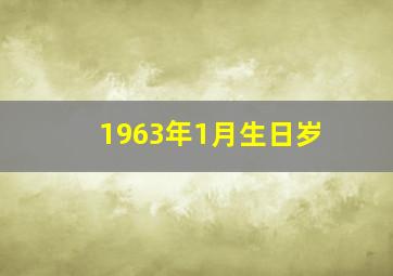 1963年1月生日岁