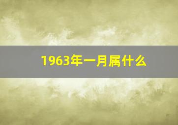 1963年一月属什么