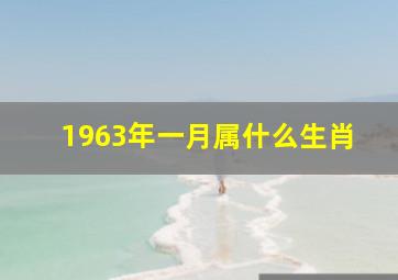 1963年一月属什么生肖