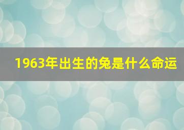 1963年出生的兔是什么命运