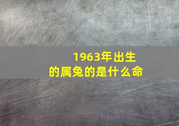 1963年出生的属兔的是什么命