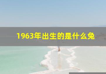 1963年出生的是什么兔