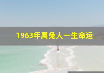 1963年属兔人一生命运