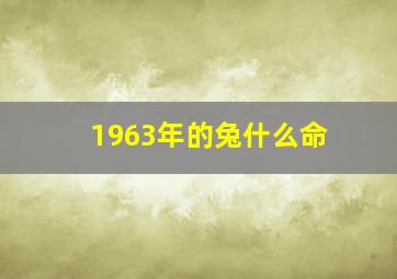 1963年的兔什么命