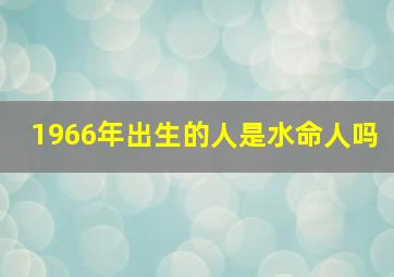 1966年出生的人是水命人吗