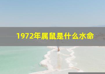 1972年属鼠是什么水命